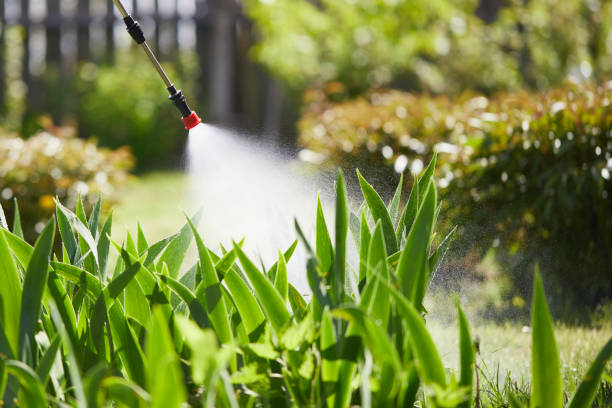 24/7 Emergency Mosquito Control experts in Sisco Heights, WA